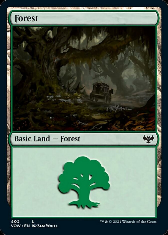 vow-402-forest