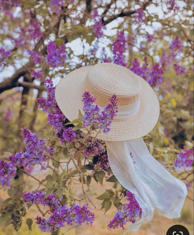 Screenshot_20240603_212146_Pinterest