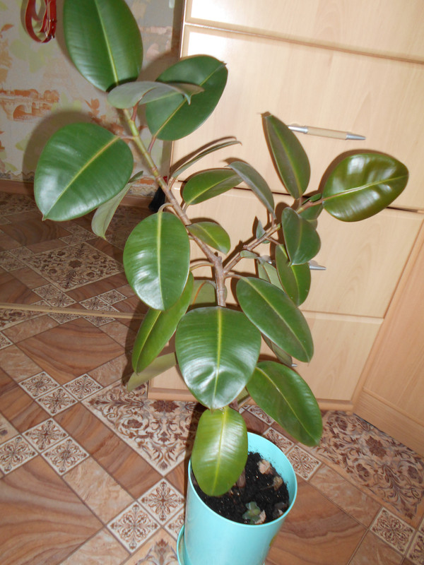 2014-12-31 17-00-00 (399)