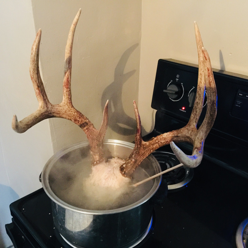 1E53671F-D46C-43E3-A943-4C919F96D096