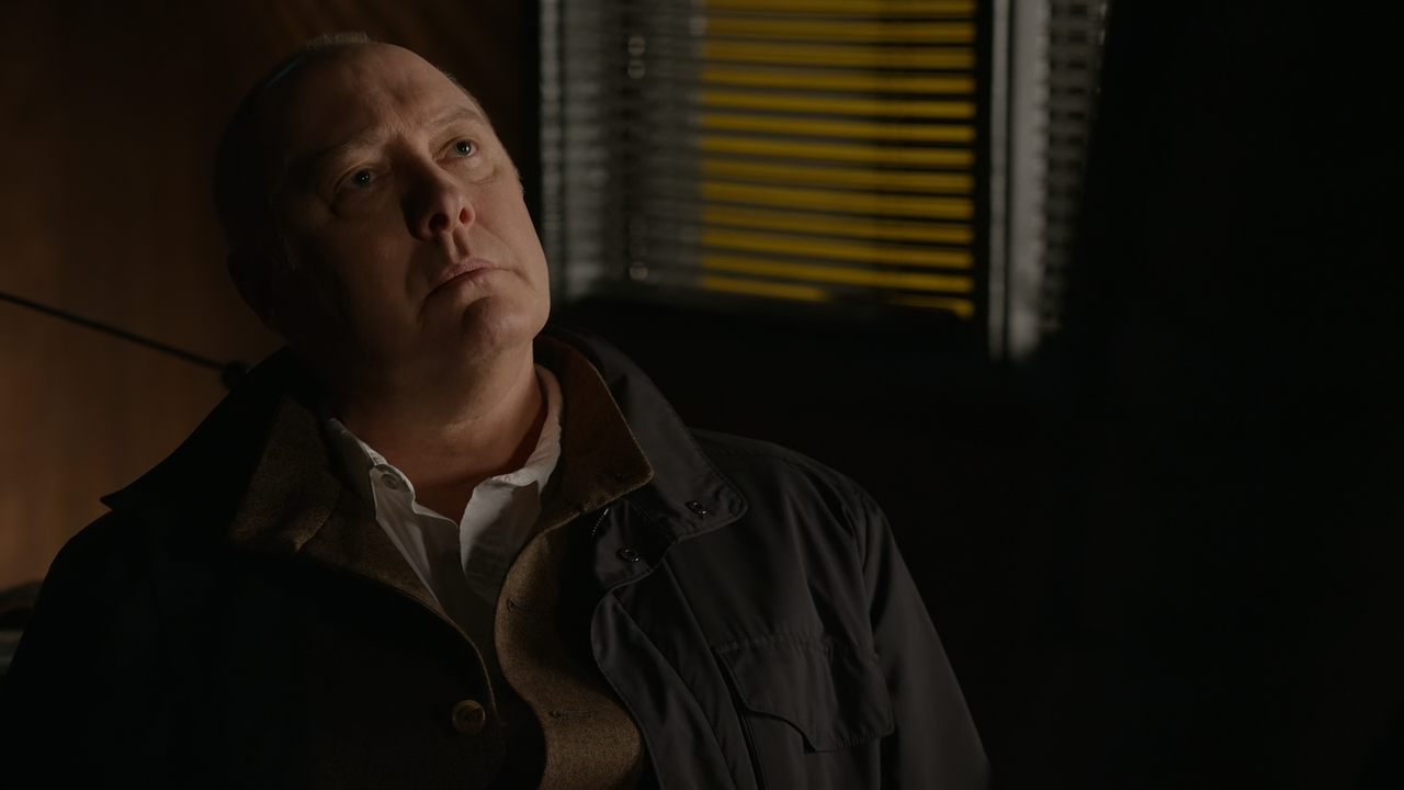 The.Blacklist.S09E09.Boukman.Baptiste.1080p.10bit.AMZN.WEB-DL.DDP5.1.HEVC-Vyndros.mkv_snapshot_25.20