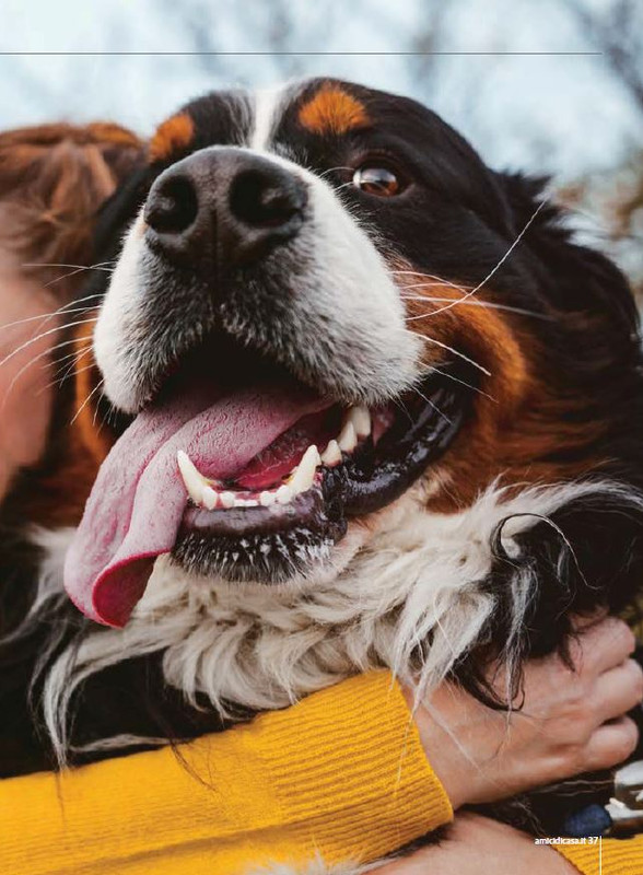 Il M C Ott-Nov 2023 (10)