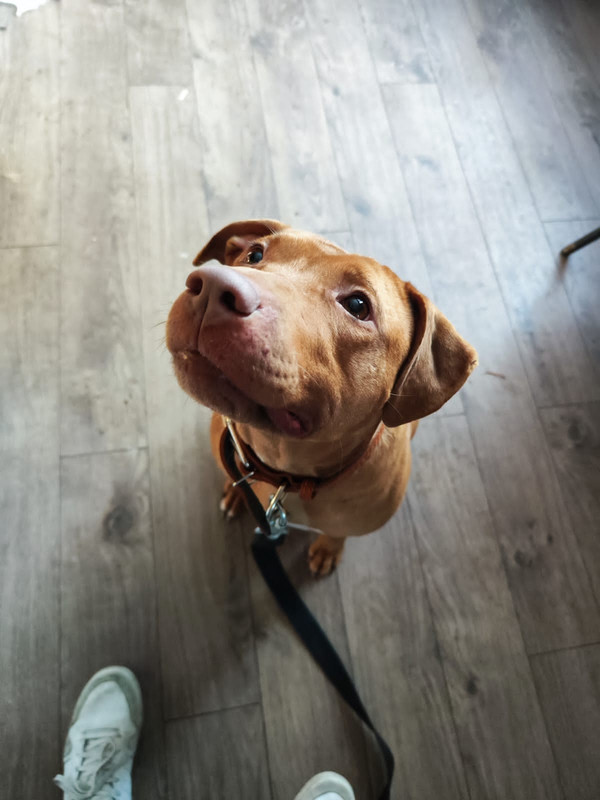 142CE659-868A-490C-B334-BA20878C7AB7