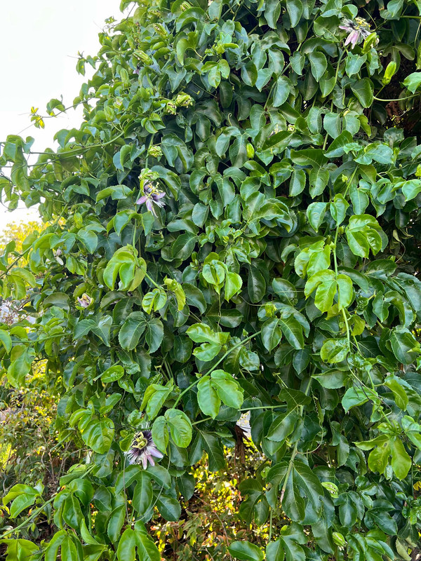 11184C15-E9F3-4A06-995B-276808AC55B3