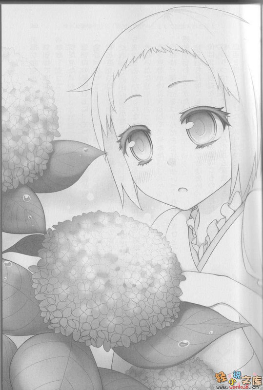 Illu10.jpg