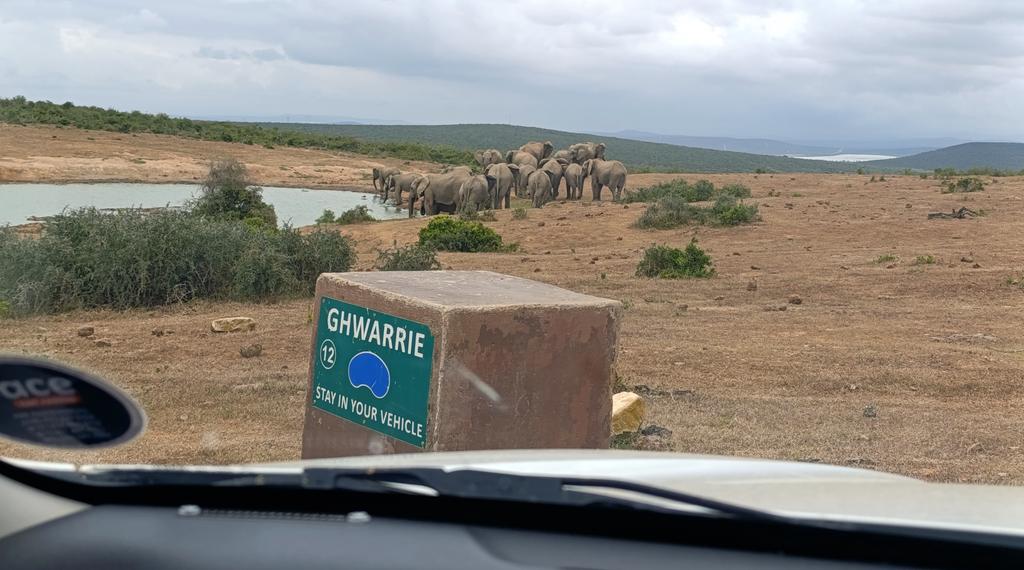 Такая близкая Африка. (ЮАР. 22 дня и 4200 км. Ноябрь-Декабрь)