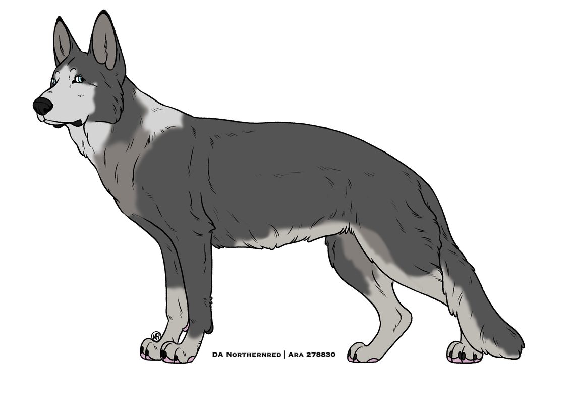 Steele-Adult.png