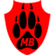 4.3 Медаль МВ 71х71