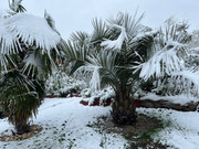 316195043_5611832998931511_4183554309760353650_n