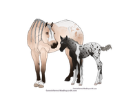 B0F48E3A-C757-46AF-B7FC-88955B8B98B3