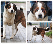 Be-Funky-collage-33.jpg&key=e6d7aa8163a8