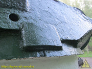 IMG-4528