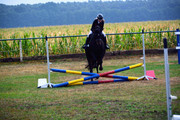 DSC-9455