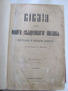 IMG-4566
