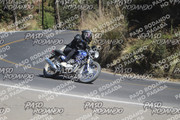 IMG-1349
