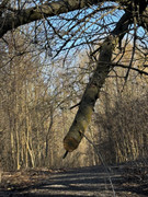 IMG-1024