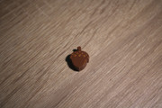 IMG-4017