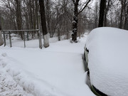 IMG-6536