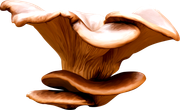 TADD_elements_Shimmer_Fall_46