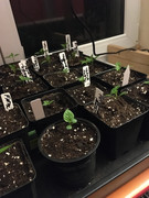 64358943-CB69-4238-9761-9617292EDA10