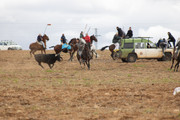 IMG-0059