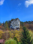 PXL_20211024_151049438