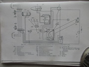 IMG-5907.jpg