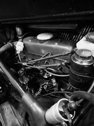 162130532-1936403786491284-2350206122257826174-o.jpg