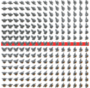 rougeheadrefsheetback