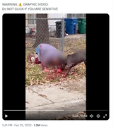 Screenshot Capture - 2023-09-16 - 02-47-40