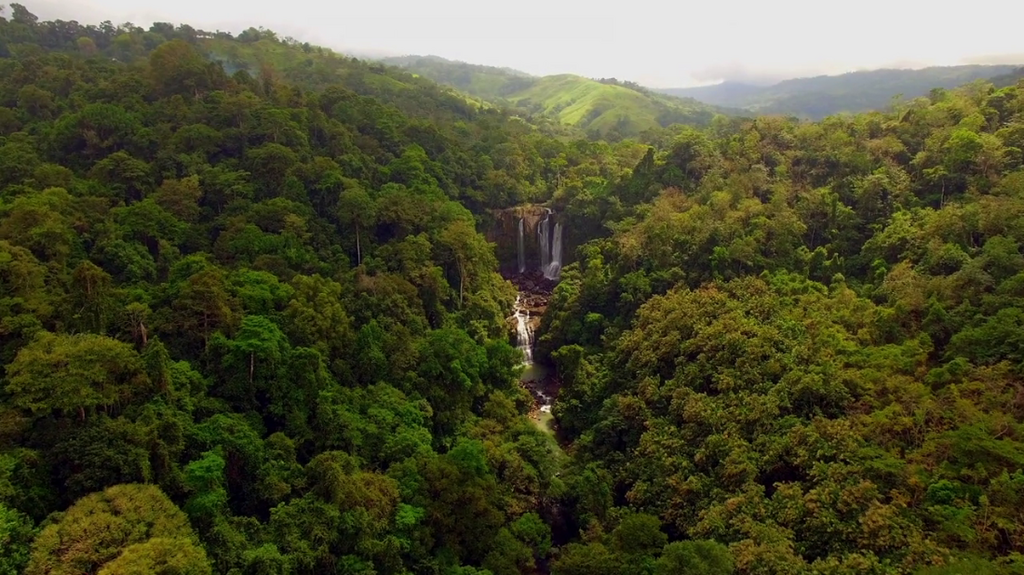 [Image: wjwm8e22qbk7.png]