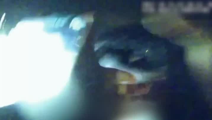 xpivhcq8589t.jpg