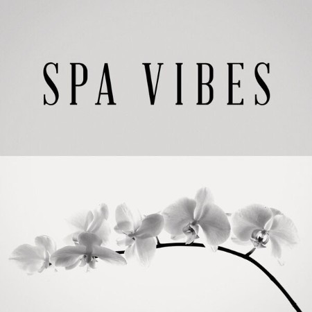 VA - Spa Vibes (2025)