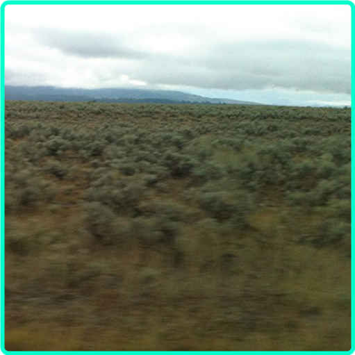 [Image: f8ajv3nagu97.png]