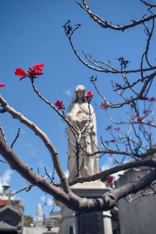 В джазе только девушки или аргентинско-бразильский калейдоскоп В джазе только девушки или аргентинско-бразильский калейдоскоп