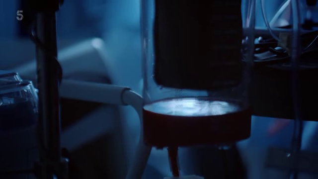 [Image: 2puo3hr1se6l.png]