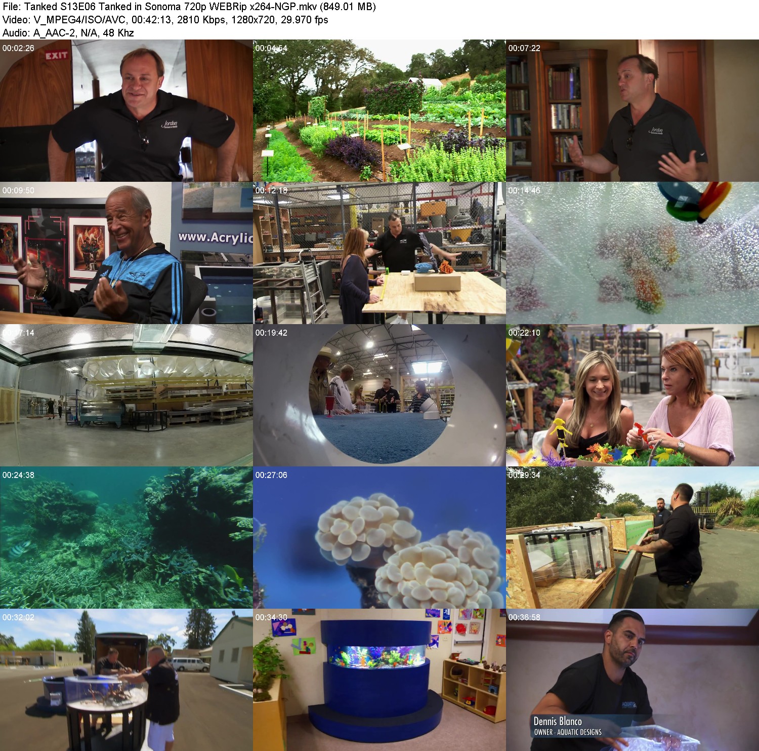 [Image: p957ig8fybyp.jpg]