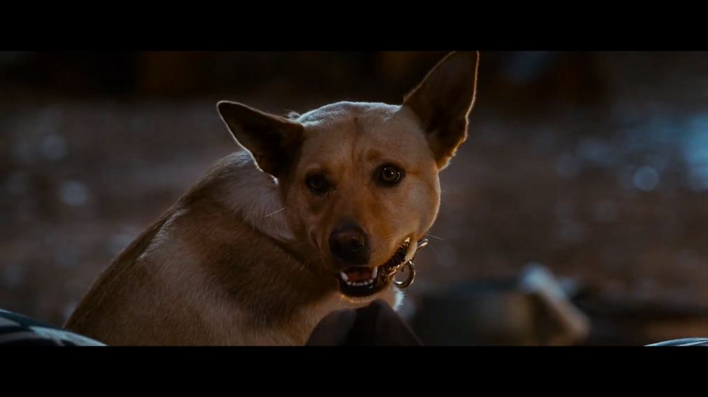 [Image: megm50m3ijw7.png]