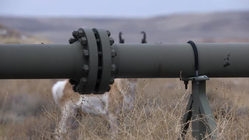 [Image: wjm1gwin1v04.jpg]