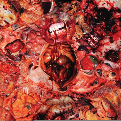 Festerdecay - From Demo to Rot (2026)