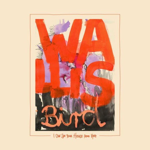 Wallis Bird - I Can See Your House From Here (2026)