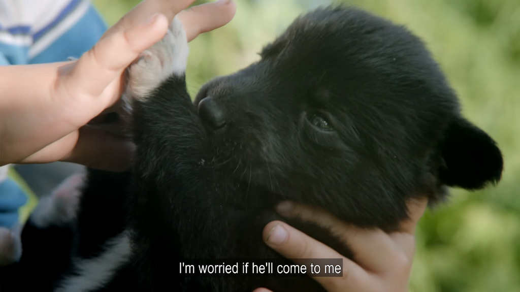 [Image: 4go1bky1off6.png]