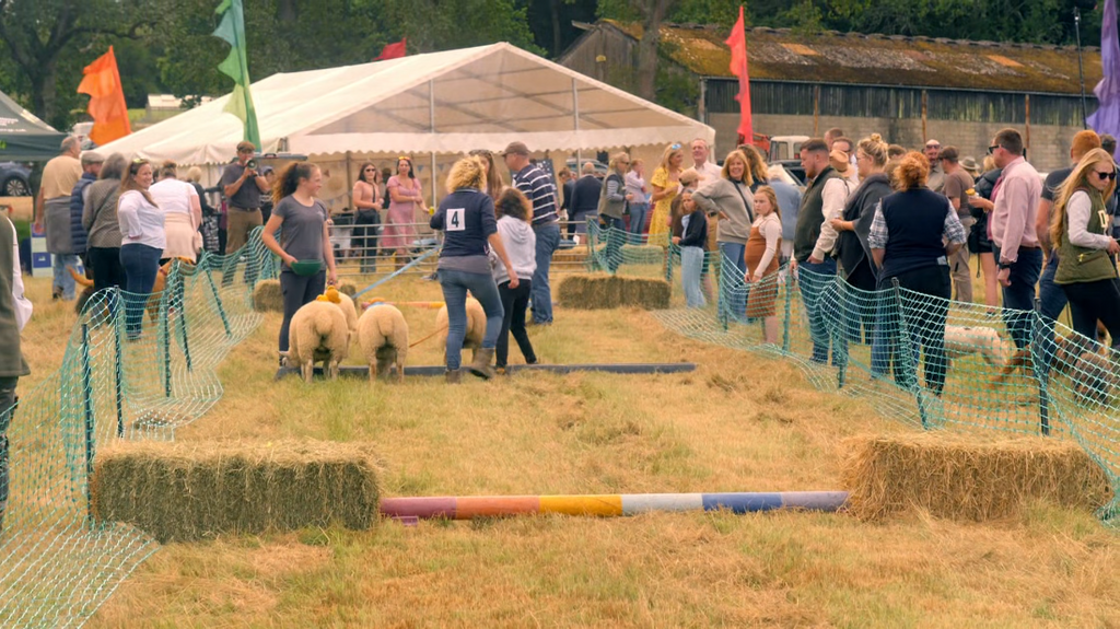 [Image: ai1tvo7a18tb.png]