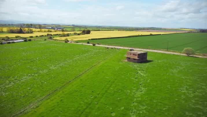 [Image: w69rskx3yz8f.jpg]