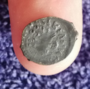 IMG_20240218_144517_edit_94986837607901