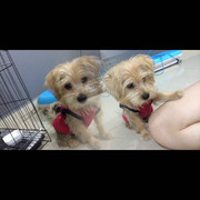 2014-11-04 01.18.51 846181621377659358_195577939