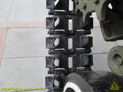 IMG-9991