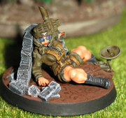 Jungle-Objective-C-1