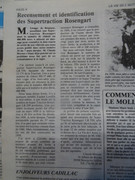 DSC03139.jpg