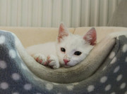 DSCN5126.jpg